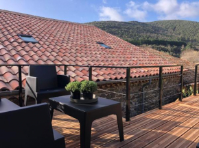 Stylish decorated house and terrace, heart of natural park, Berlou
